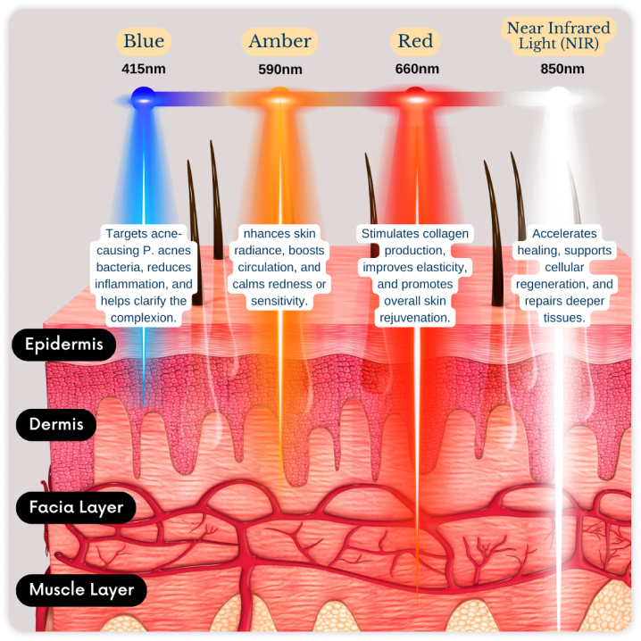 Clinically Proven Wavelengths